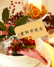 ���������ڱ���ͼƬ ����ף������2014