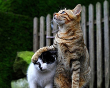 2015��Ц�����qqǩ����ȫ ����ѳ��еߵ���ѧҲ�ù���ѧУ