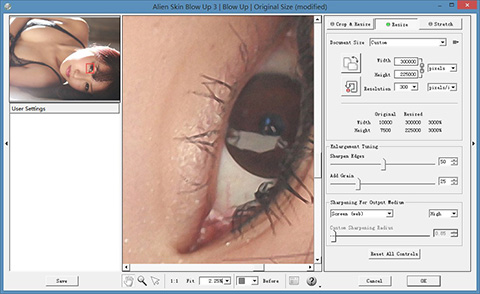 Alien Skin Blow Up�ƽ��3.0 �������