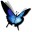 Tuniac�ٷ�����1.0Build140619 ���°�