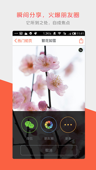 ��ҳapp����v3.8.4 iOS��