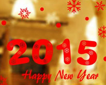 ����������ȫ2015�� �̻���ȼ�˴���