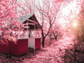 ӣ��ͼƬ��ȫ2015 ����ȥ���ӣ����