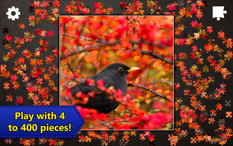 Jigsaw Puzzles Epic for Mac����ƴͼ����1.0.7