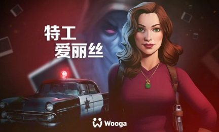 �ع�����˿�ƽ��v1.0.13
