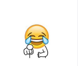 2015���emoji���������