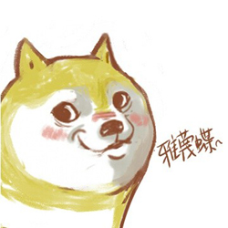 doge��������°� ���doge����