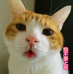 ѧ�����ϰ����������ͼƬ �ں��һ�����